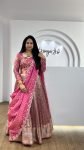 Anandi Pink (2)