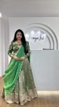 Anandi- green (3)